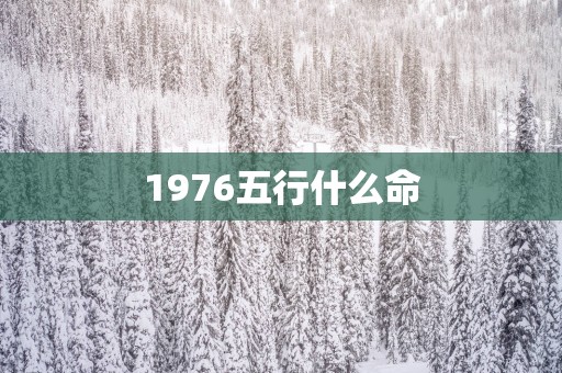 1976五行什么命