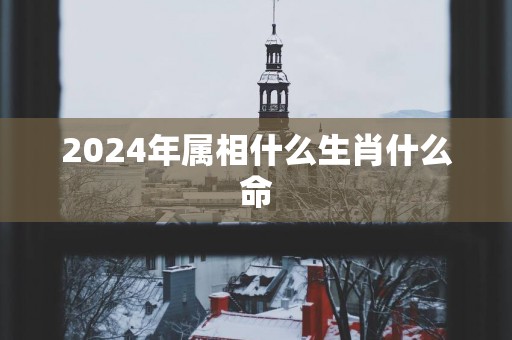 2025年属相什么生肖什么命