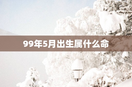 99年5月出生属什么命