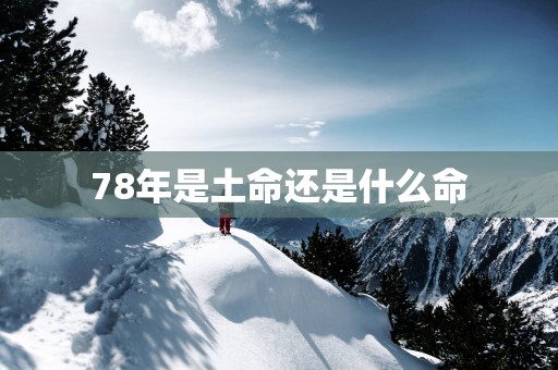 78年是土命还是什么命