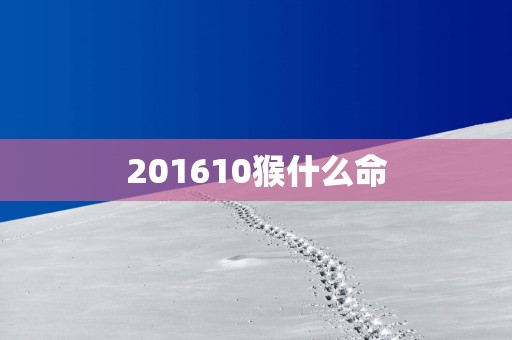 201610猴什么命