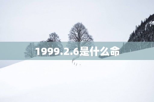 1999.2.6是什么命
