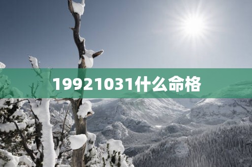 19921031什么命格