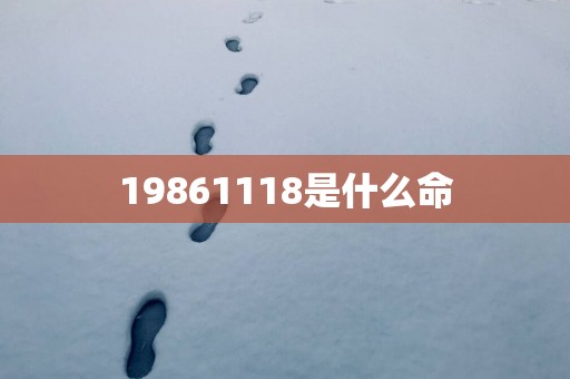 19861118是什么命