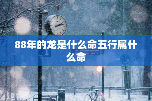 88年的龙是什么命五行属什么命