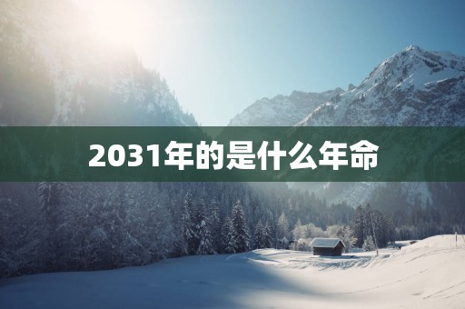 2031年的是什么年命