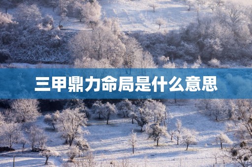 三甲鼎力命局是什么意思