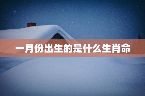 一月份出生的是什么生肖命
