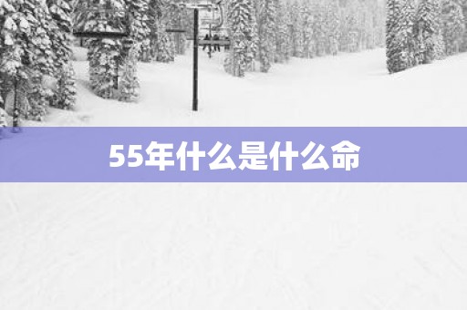 55年什么是什么命