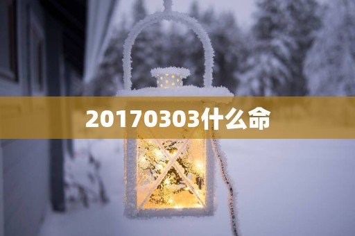 20170303什么命