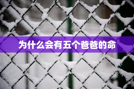 为什么会有五个爸爸的命