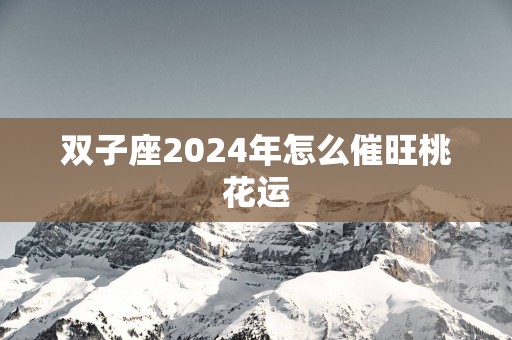 双子座2025年怎么催旺桃花运