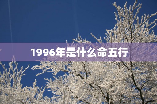 1996年是什么命五行
