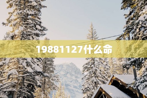 19881127什么命