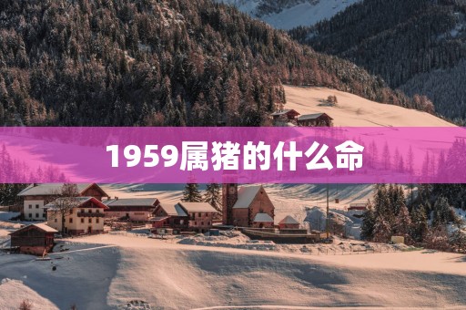 1959属猪的什么命