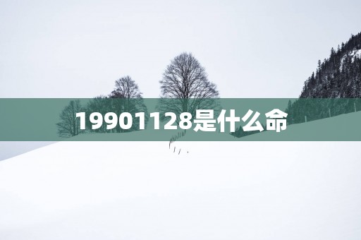 19901128是什么命