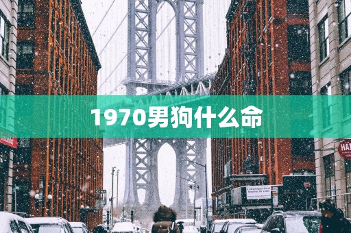 1970男狗什么命