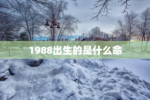 1988出生的是什么命