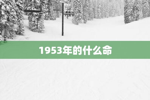 1953年的什么命