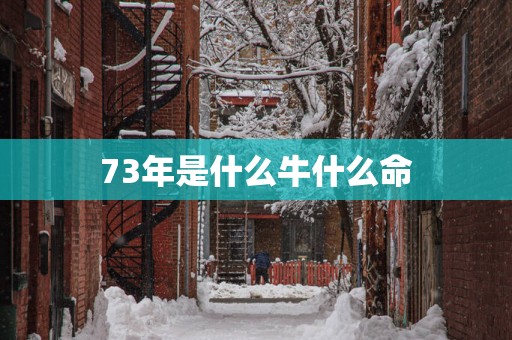 73年是什么牛什么命