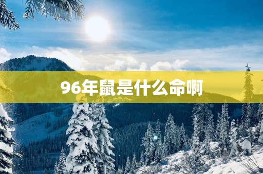 96年鼠是什么命啊
