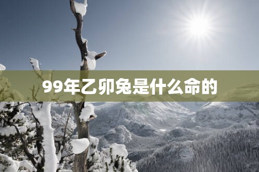 99年乙卯兔是什么命的