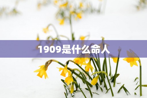 1909是什么命人