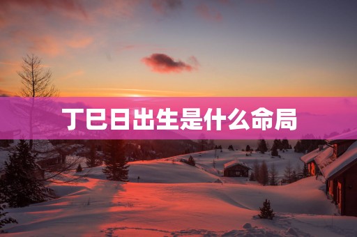 丁巳日出生是什么命局