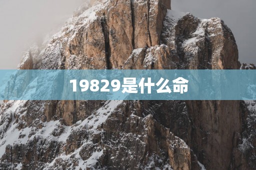 19829是什么命