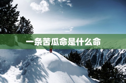 一条苦瓜命是什么命