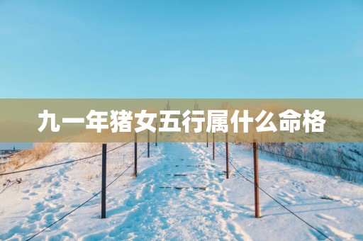 九一年猪女五行属什么命格