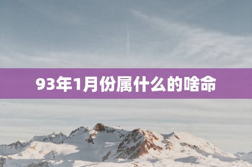 93年1月份属什么的啥命