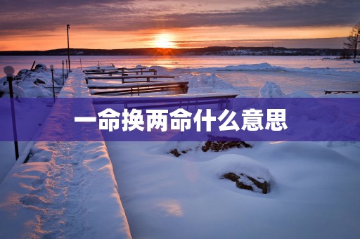 一命换两命什么意思