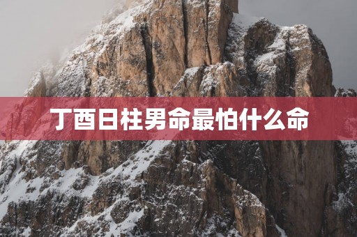 丁酉日柱男命最怕什么命