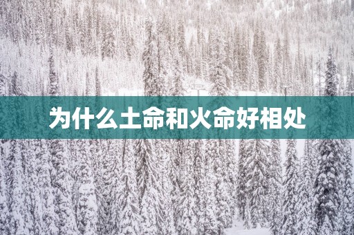 为什么土命和火命好相处