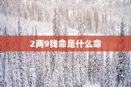 2两9钱命是什么命