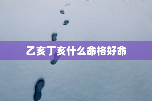 乙亥丁亥什么命格好命