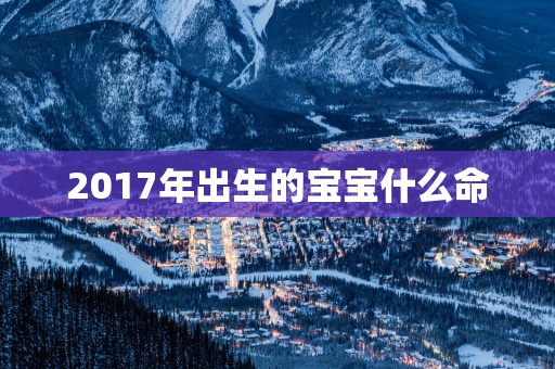 2017年出生的宝宝什么命