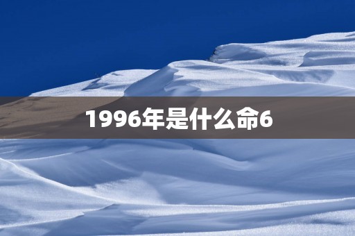 1996年是什么命6