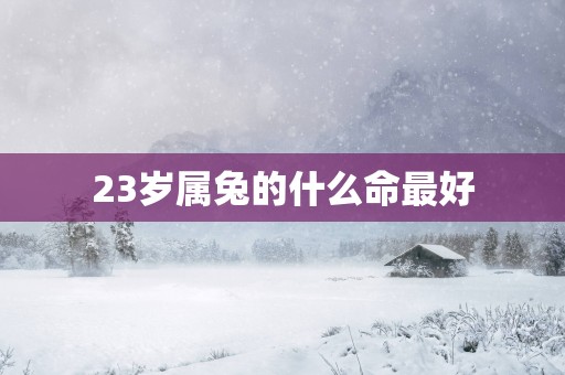 23岁属兔的什么命最好