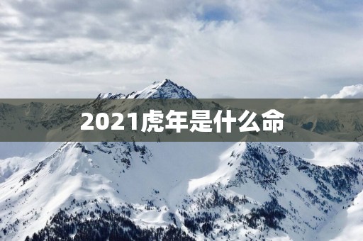 2025蛇年是什么命