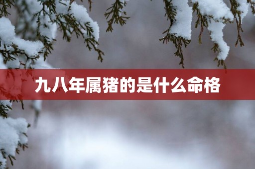 九八年属猪的是什么命格