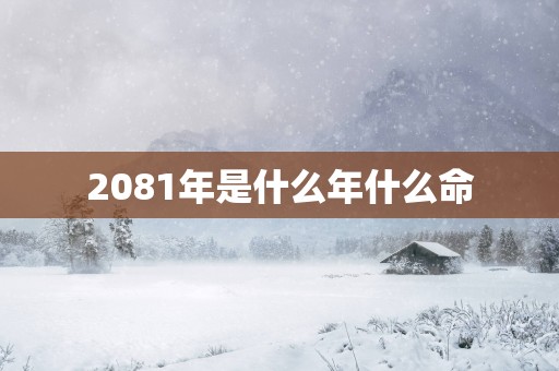2081年是什么年什么命