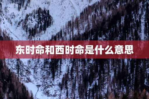 东时命和西时命是什么意思