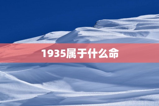 1935属于什么命
