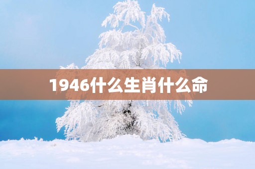 1946什么生肖什么命