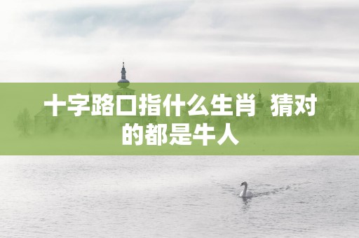 十字路口指什么生肖  猜对的都是牛人