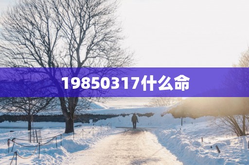 19850317什么命