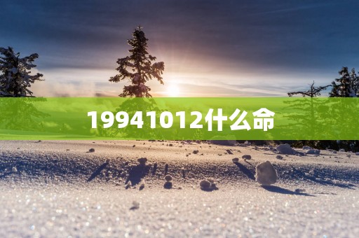 19941012什么命