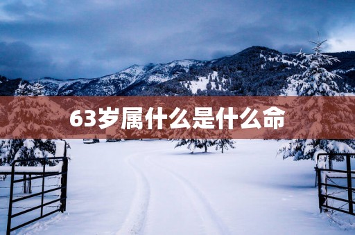 63岁属什么是什么命
